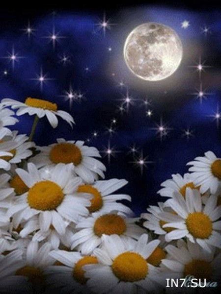 Наталья Гульченко