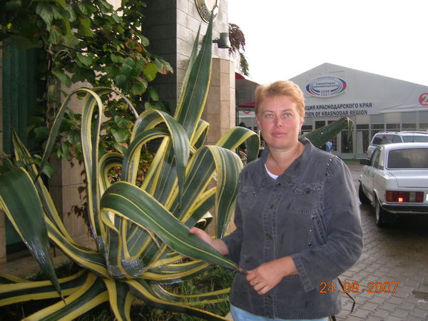 Марина Лазаренко