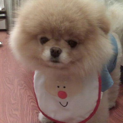 Алина Лемачко