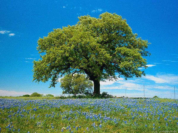 Второя Городская Поликлиника