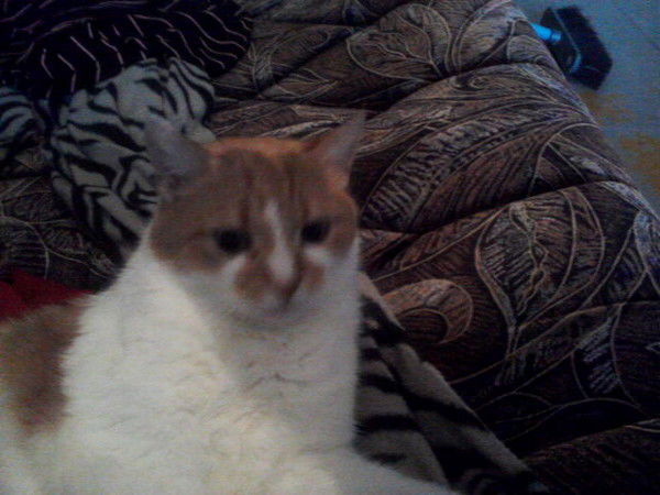 Зинаида Пчельникова