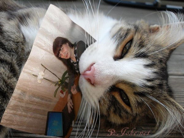 Светлана Шпагина