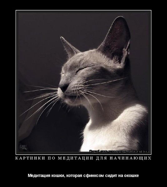 Мбу Цгкб №6 Валентина Викторовна