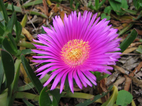 Наталья Наталья