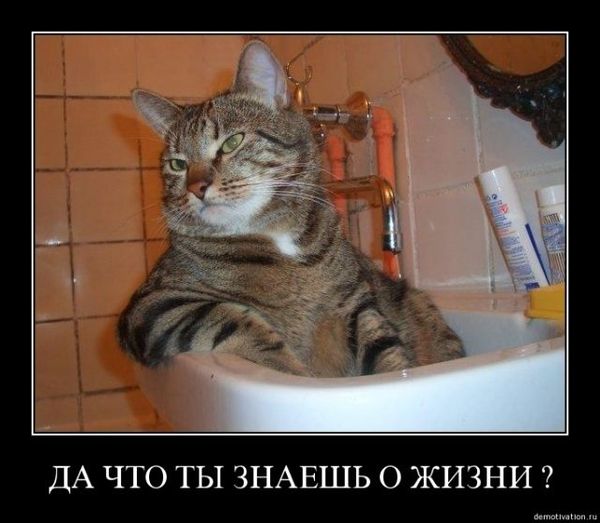 Фозил Хамраев