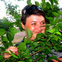 Алина Ляшенко