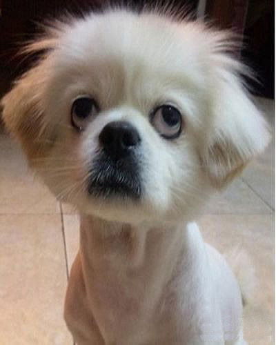 Серёжа 56 Дом ,