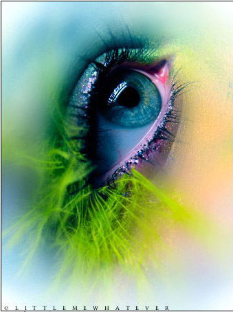 Ксения Палагута