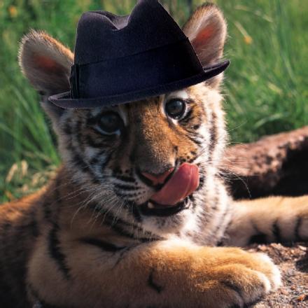 Владимир Кудрин