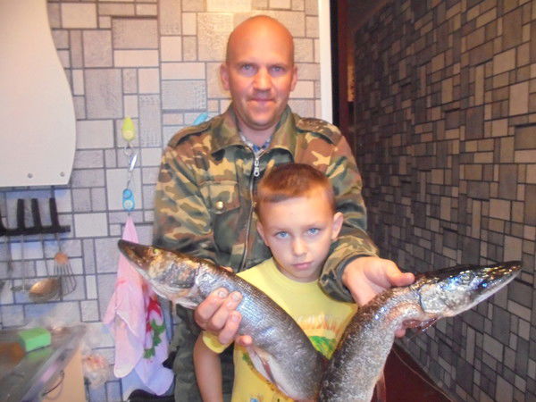 Владимир Сеньков