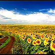 Бакытбек Дакеев