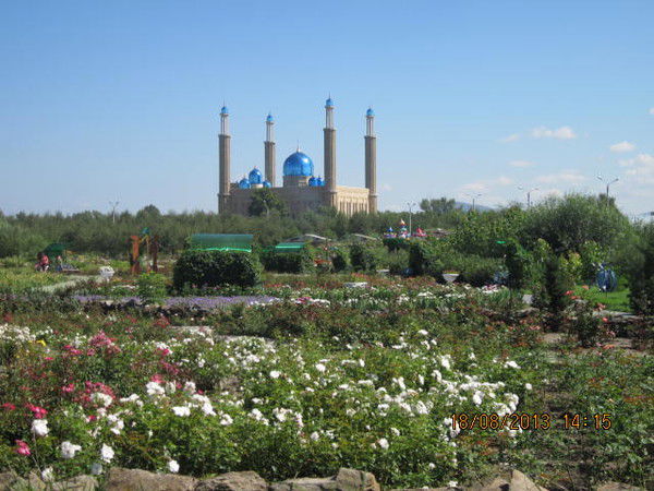 Елена Елена