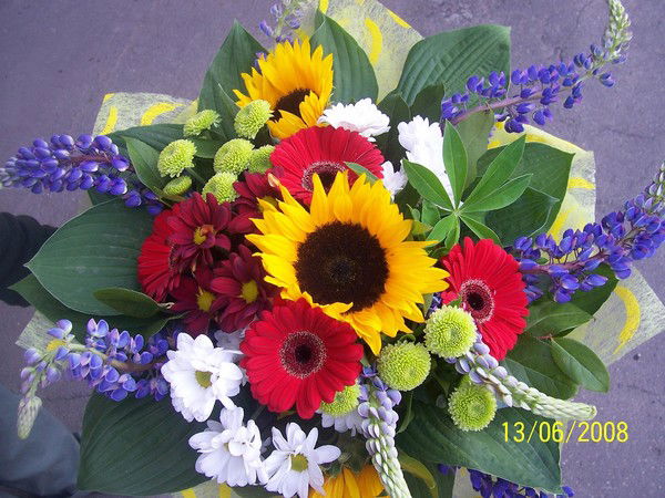 Светлана Арыстанова