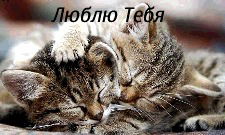 Расскажи О Себе