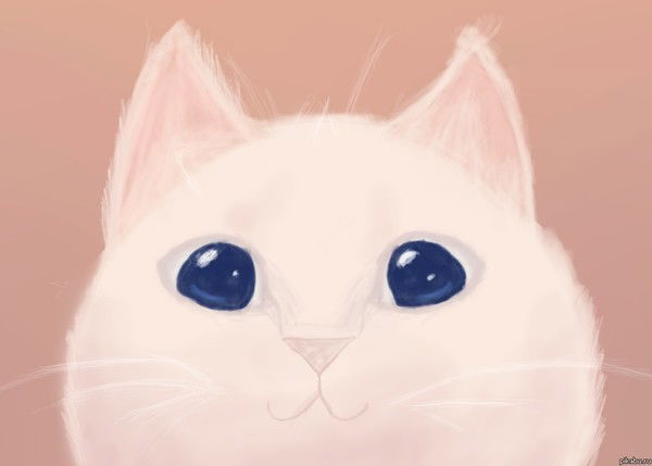 Юлия Загородских