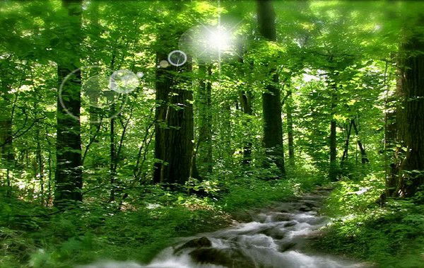 Евдокия Назаренко