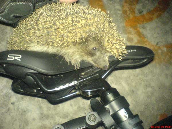 Андрей Павлючков