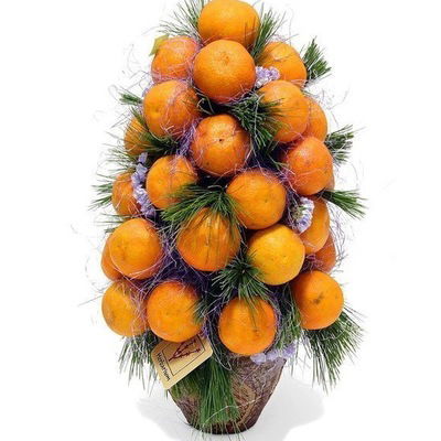 Марина Платкова