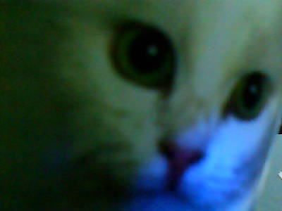 Нина Рудой-Ячменева