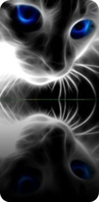 Илья Малахов