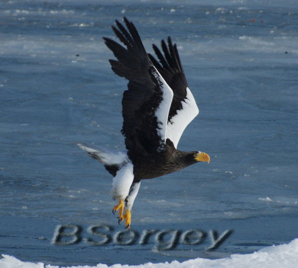 Сергей Бубенчиков