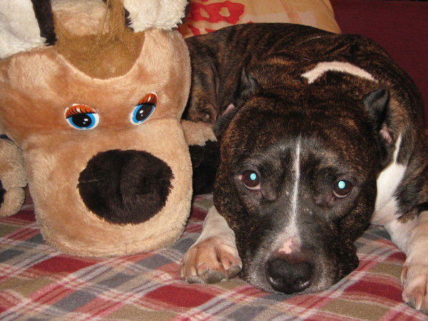 Мария Кирюшина