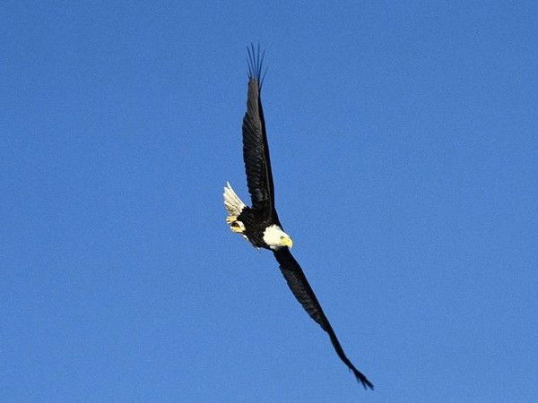 Андрей Орлов