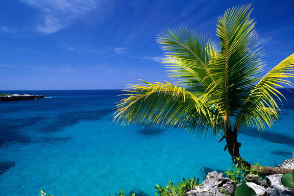 Виктор Христич