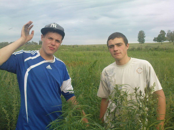 Кирил Кириенко