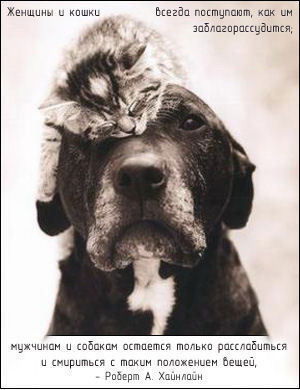 Алёнушка Поспелова