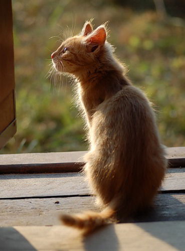 Валентина Колмакова