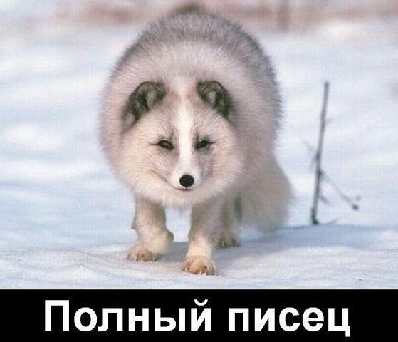 Сергей Ака Doc