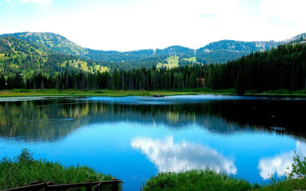 Антонина Егорова