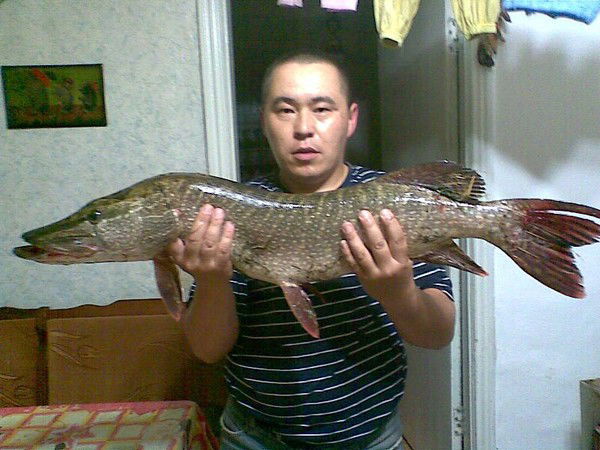 Талгат Жолдыгарин