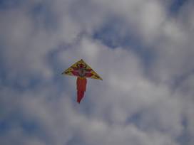 Татьяна Стефак