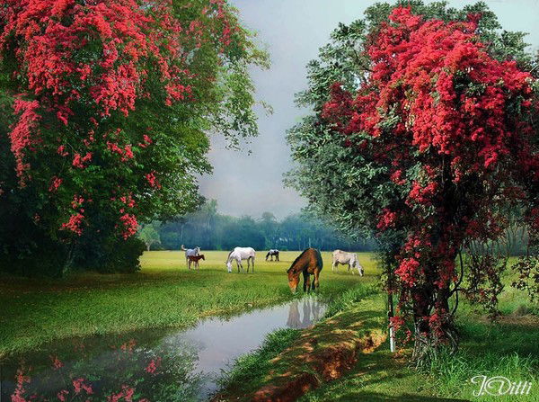 Айсылу Хазеева