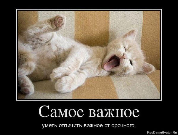 Денис Пытьев