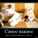 Денис Пытьев