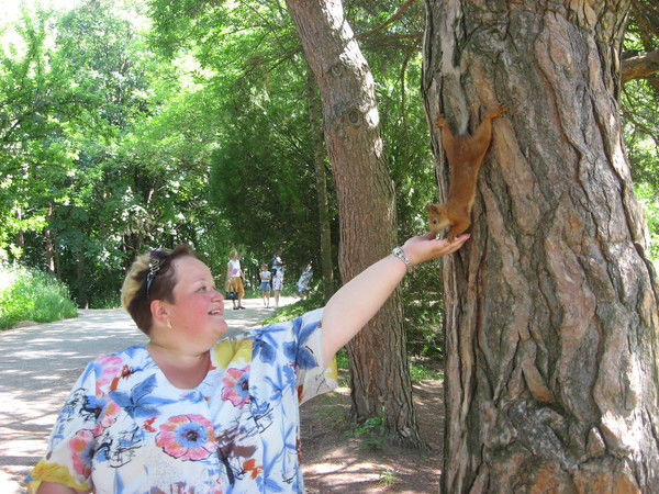 Елена Безруких