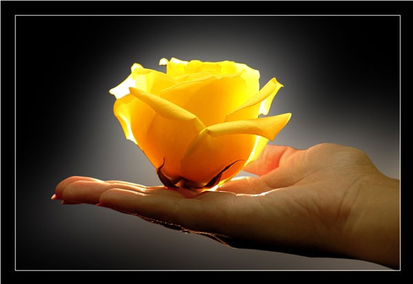 Галина Лиер