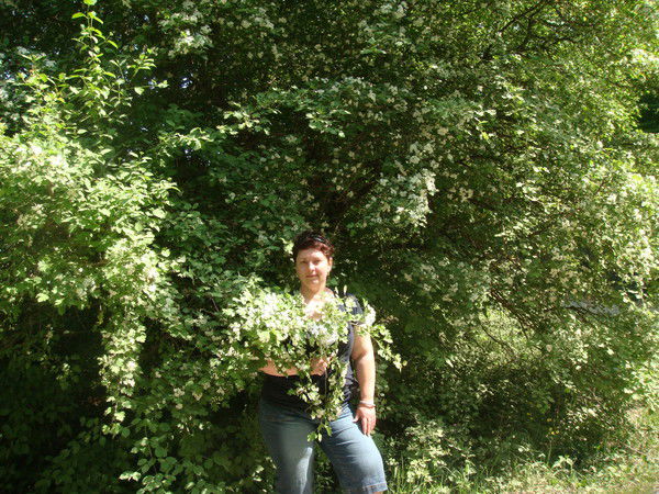 Елена Лаврентьева