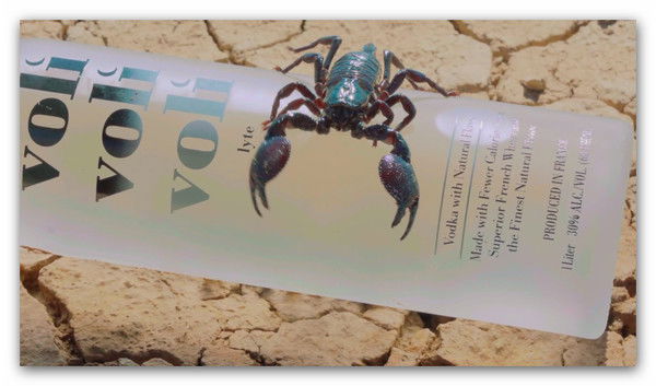 Sergey Konstantinovich