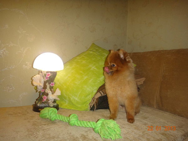 Татьяна Малышева