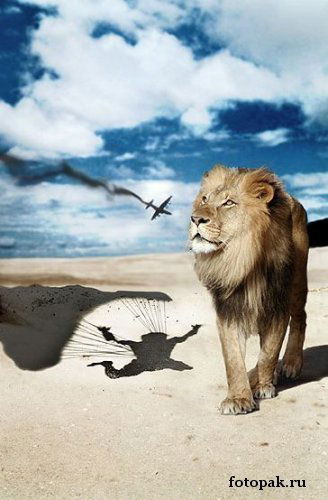 Алексей Березин