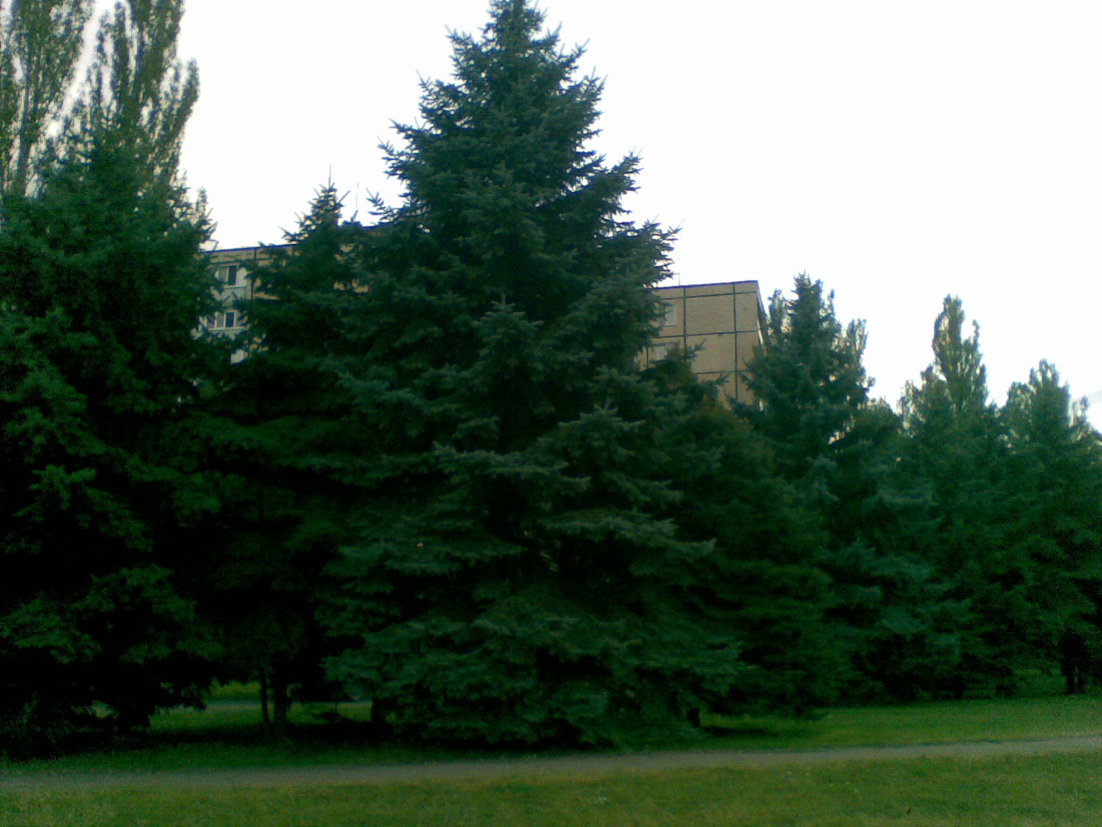 Ксюша Ксюша