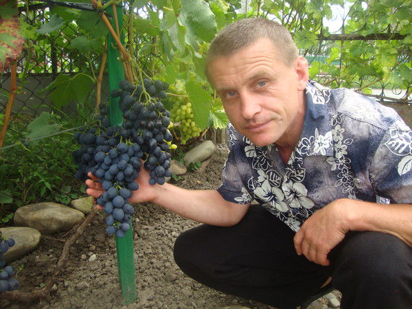 Николай Никифорук