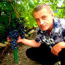 Николай Никифорук
