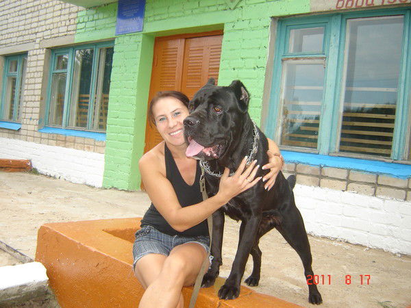 Елена Постолатий