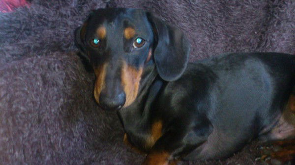 Олеся Форсова