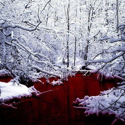 Данил Варин